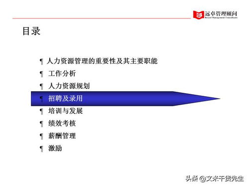 知名咨詢公司客戶案例 100頁人力資源管理的全面提升,系統(tǒng)完整